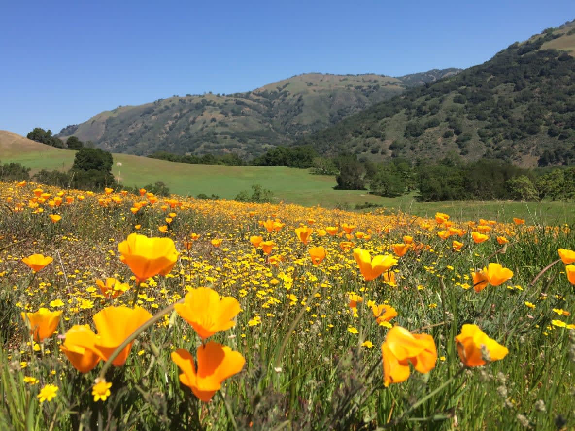 Santa Clara County Parks Admin Office