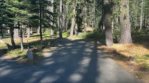 Site Photo