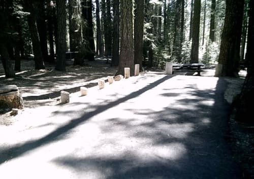 Site Photo
