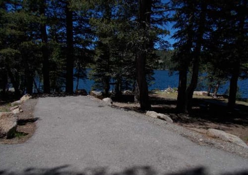 Site Photo