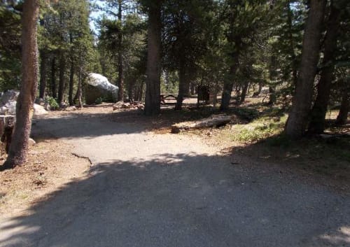Site Photo