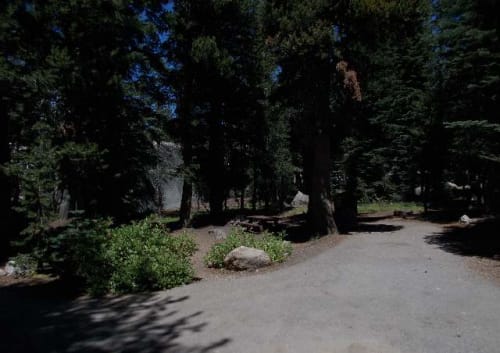 Site Photo