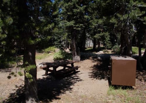 Site Photo