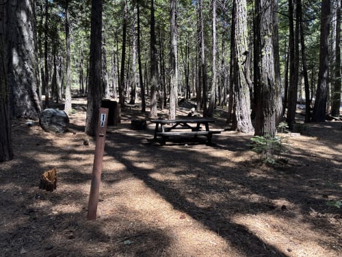 Site Photo
