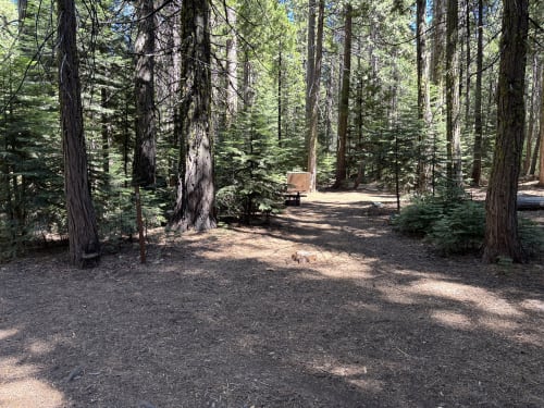 Site Photo