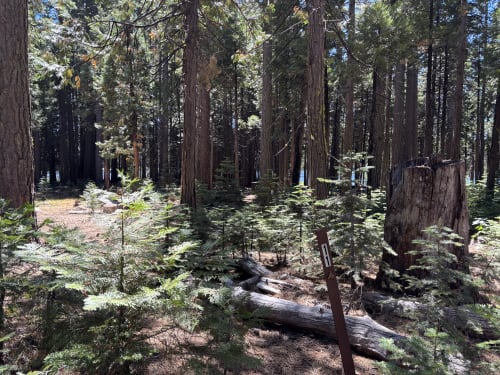 Site Photo