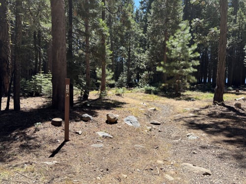 Site Photo