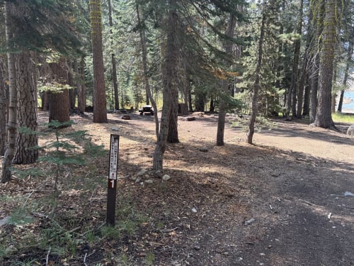 Site Photo