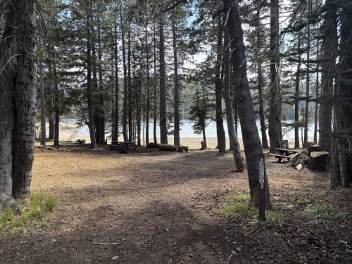 Site Photo