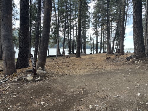 Site Photo