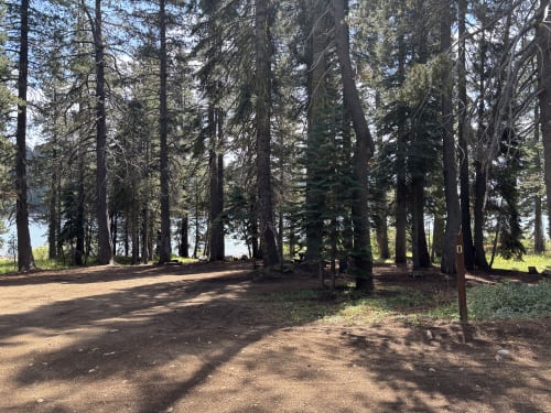 Site Photo