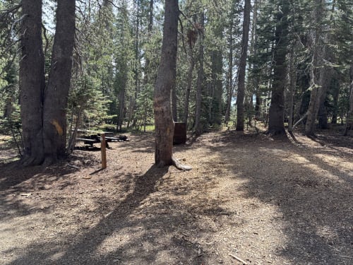 Site Photo