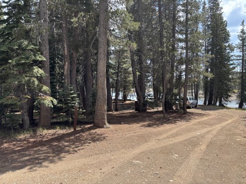 Site Photo