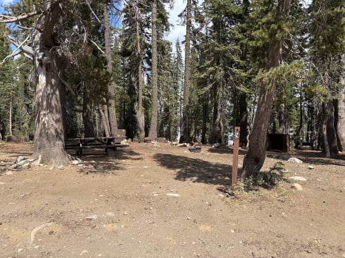 Site Photo