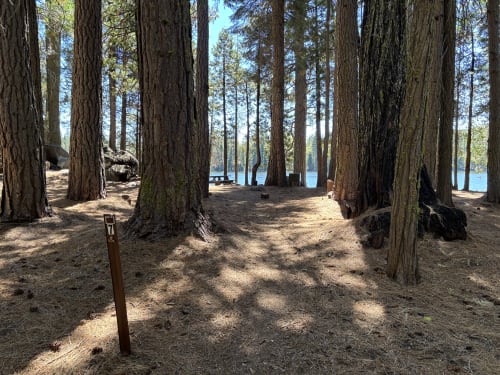 Site Photo