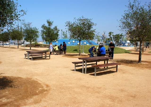 Picnic Area 4