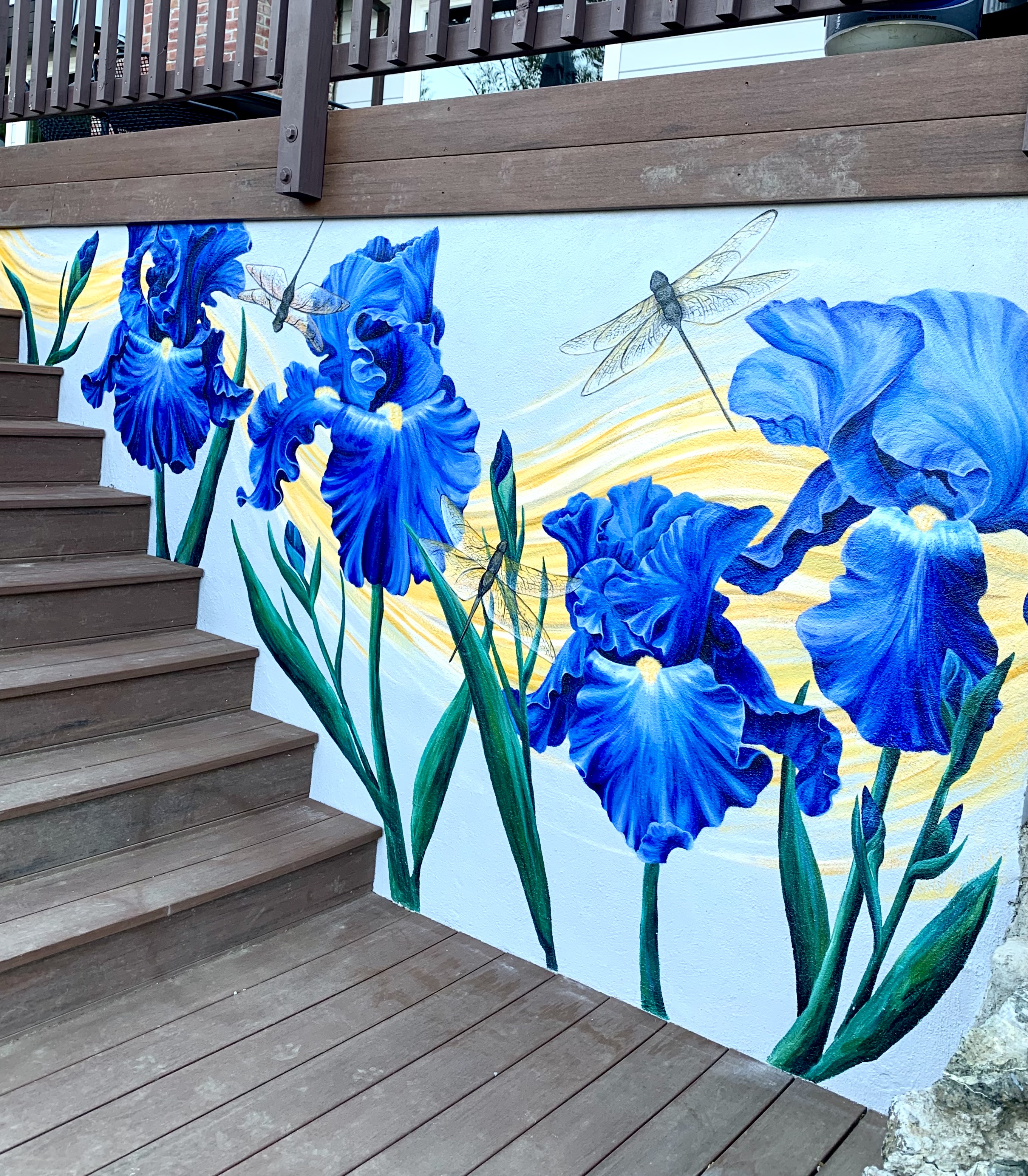 Beth's Iris - View 1