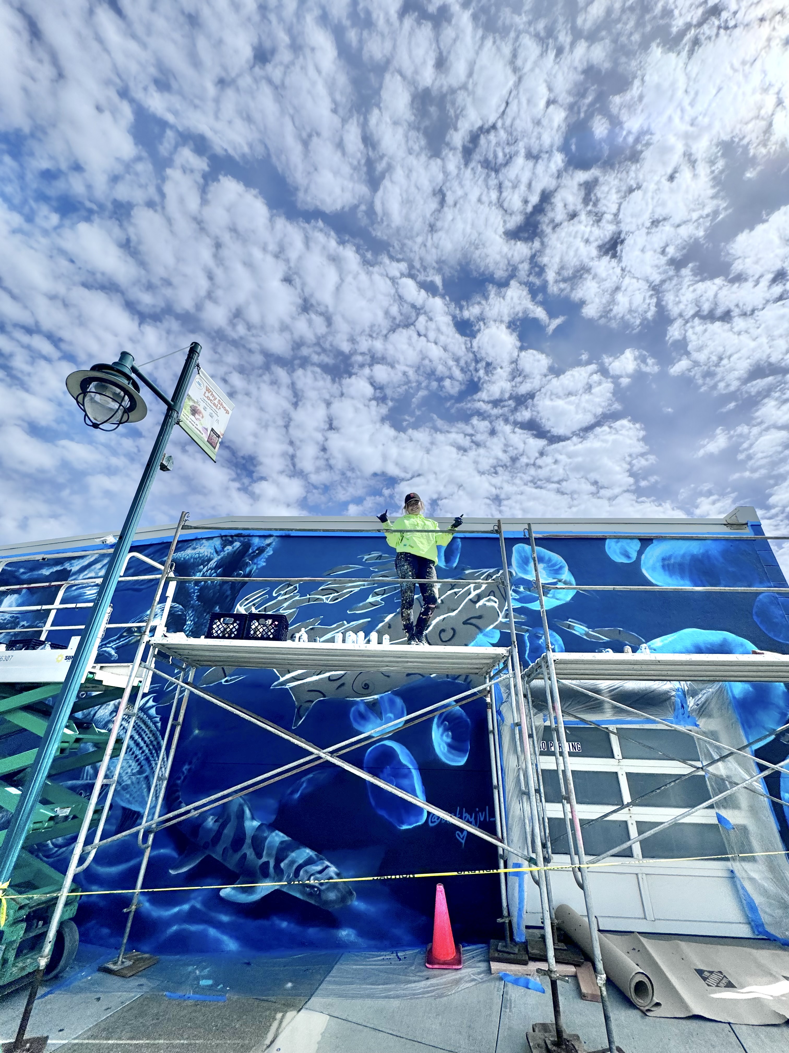 Under the Pacifica Pier Mural detail