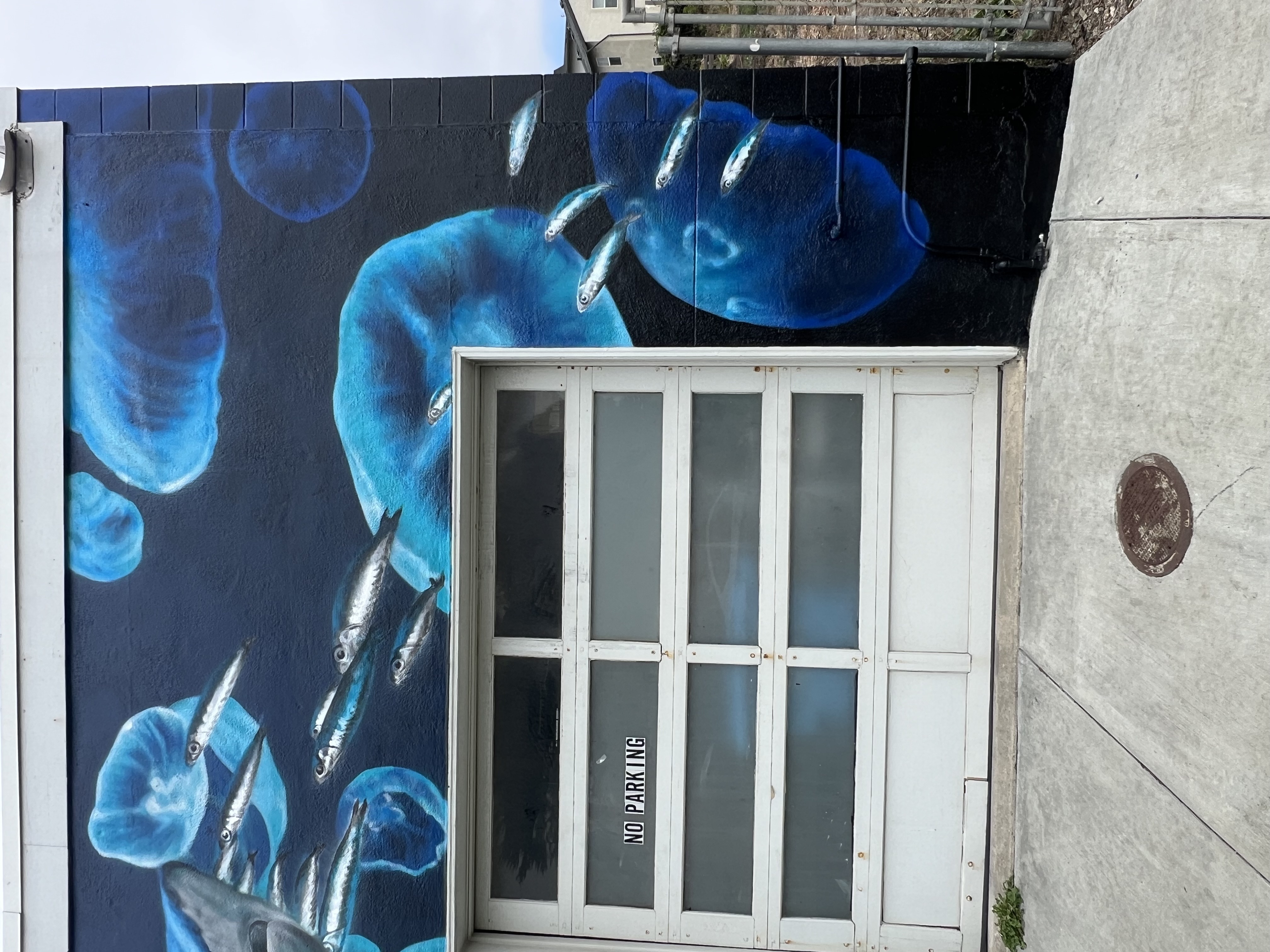 Under the Pacifica Pier Mural detail