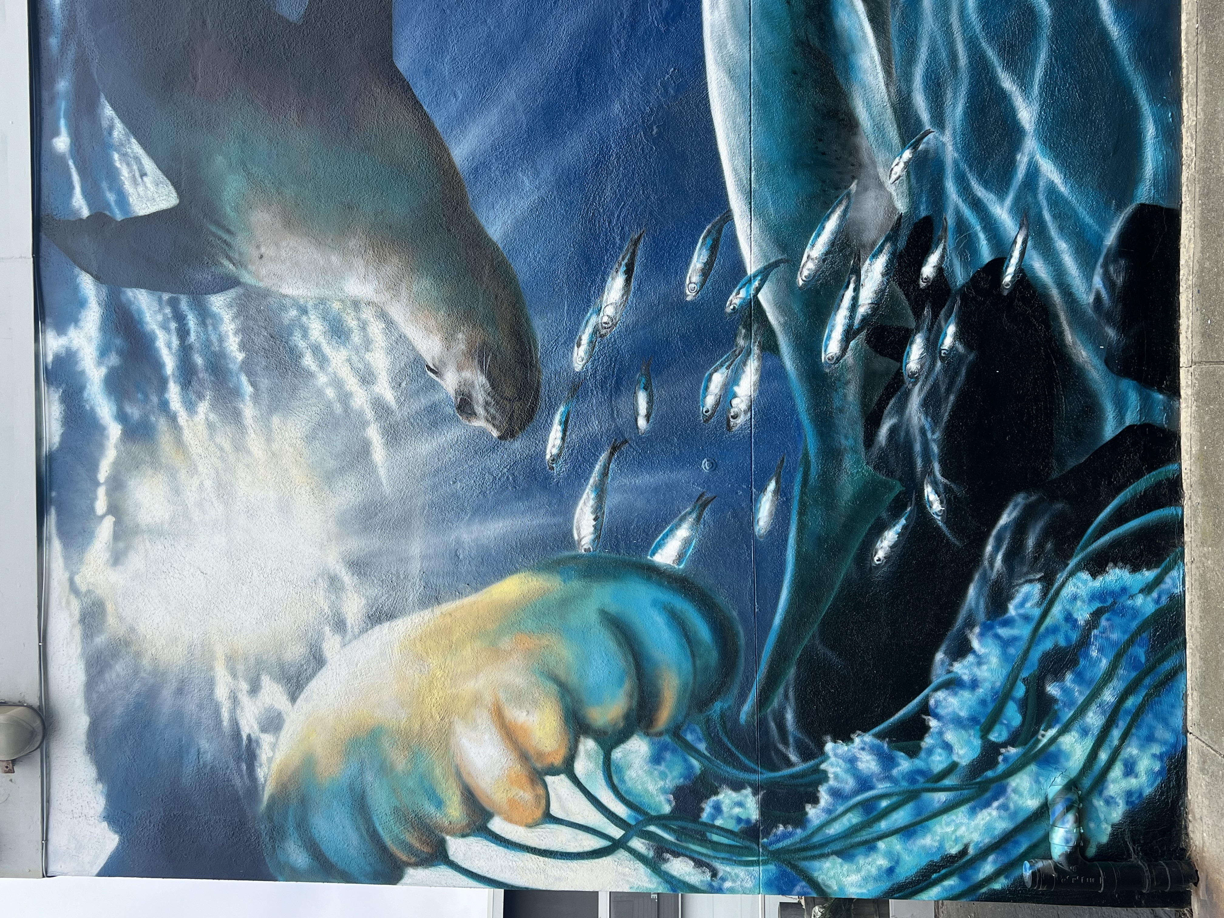 Under the Pacifica Pier Mural detail