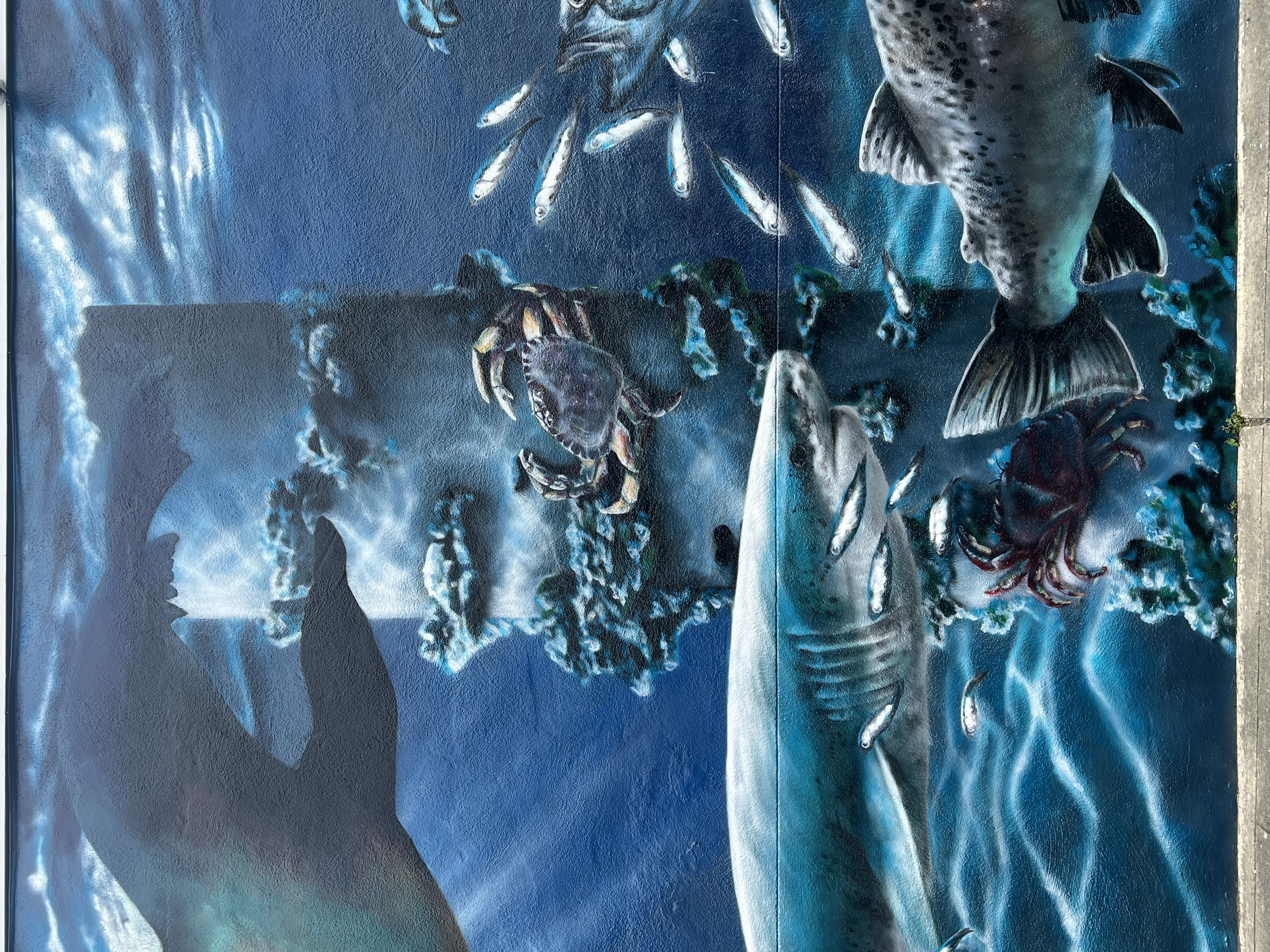 Under the Pacifica Pier Mural detail