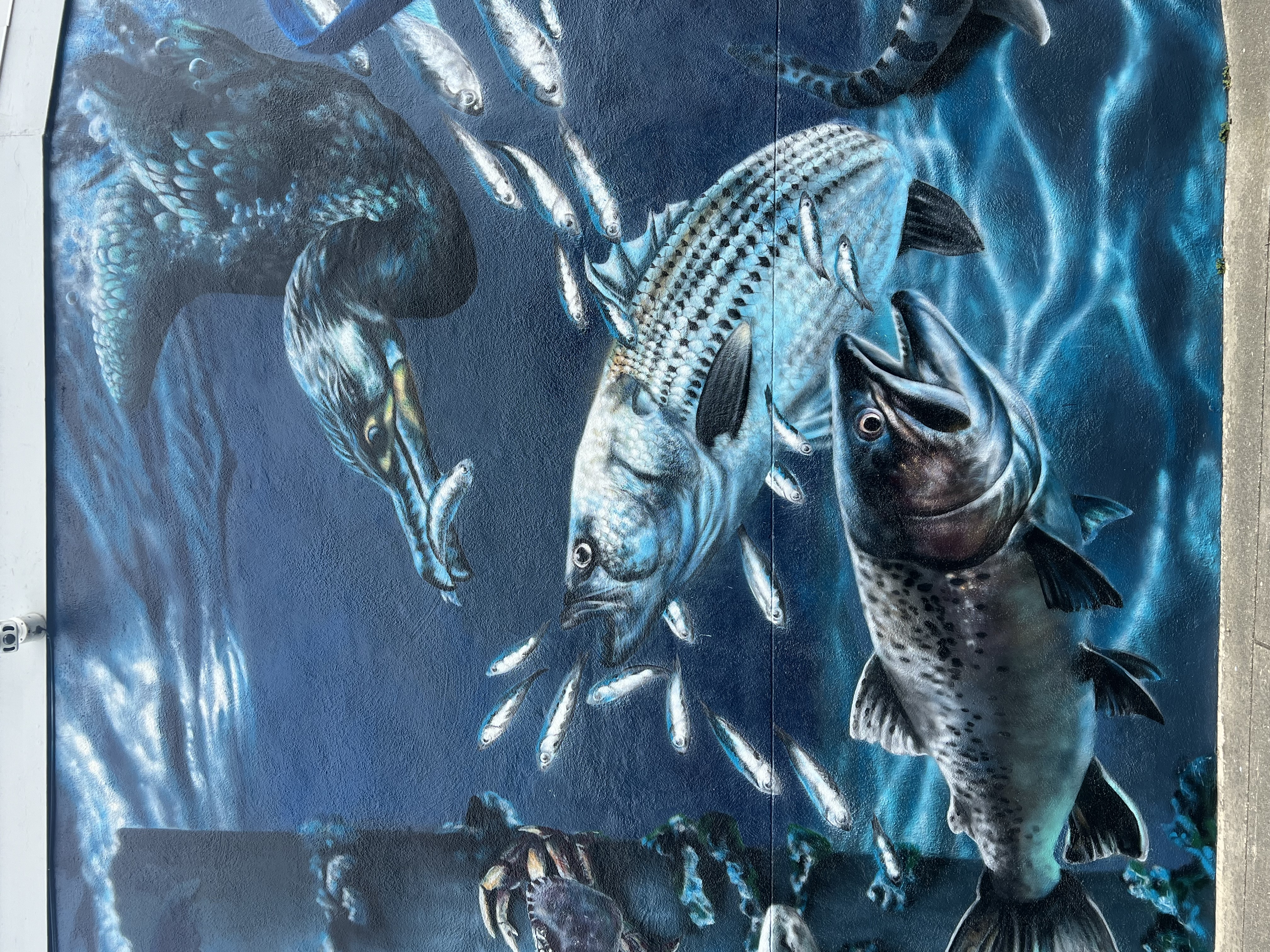 Under the Pacifica Pier Mural detail