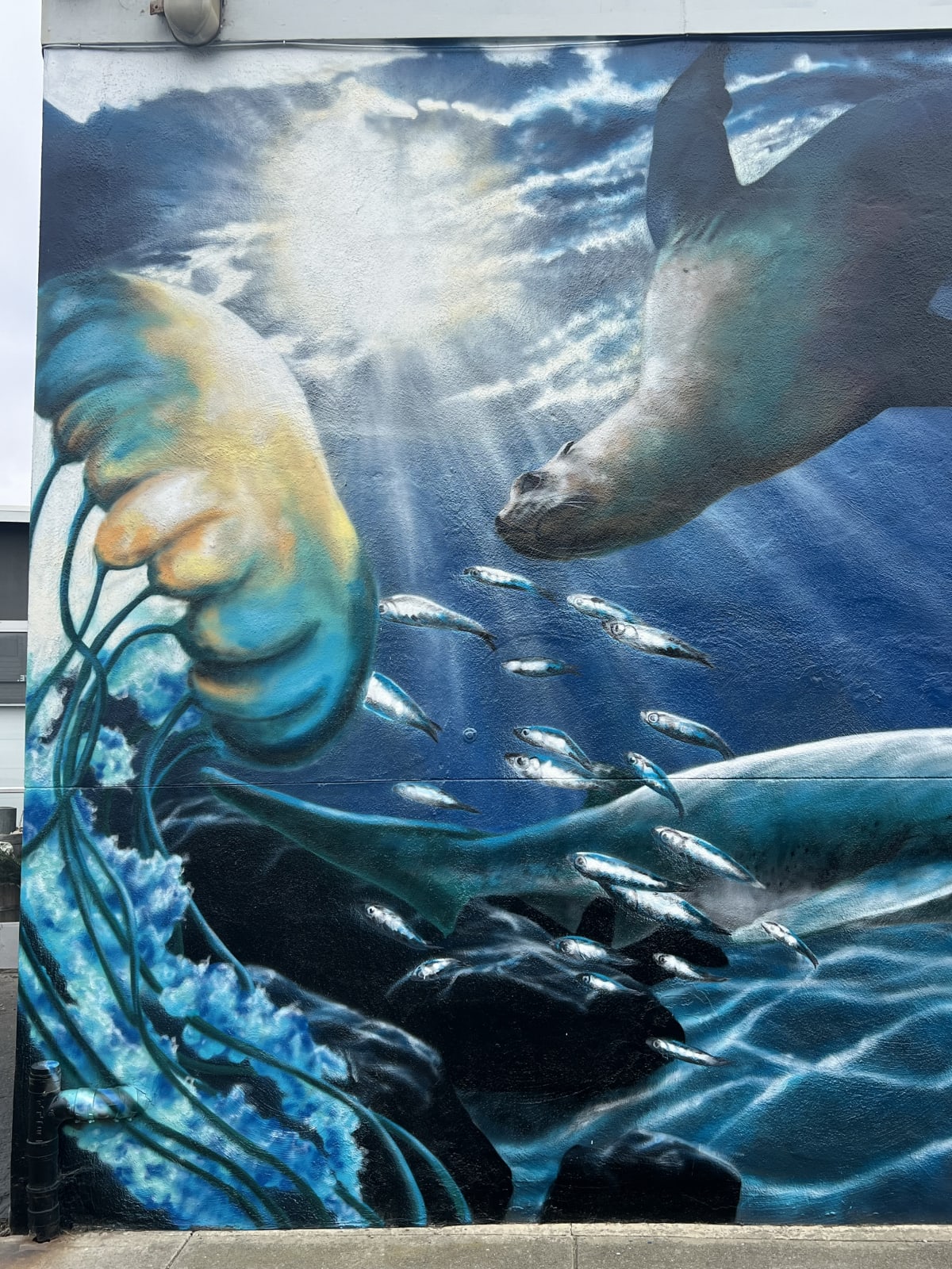 Under the Pacifica Pier Mural detail