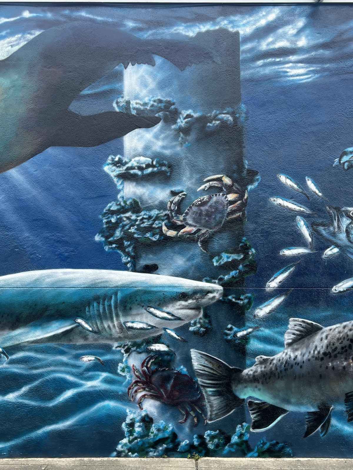 Under the Pacifica Pier Mural detail