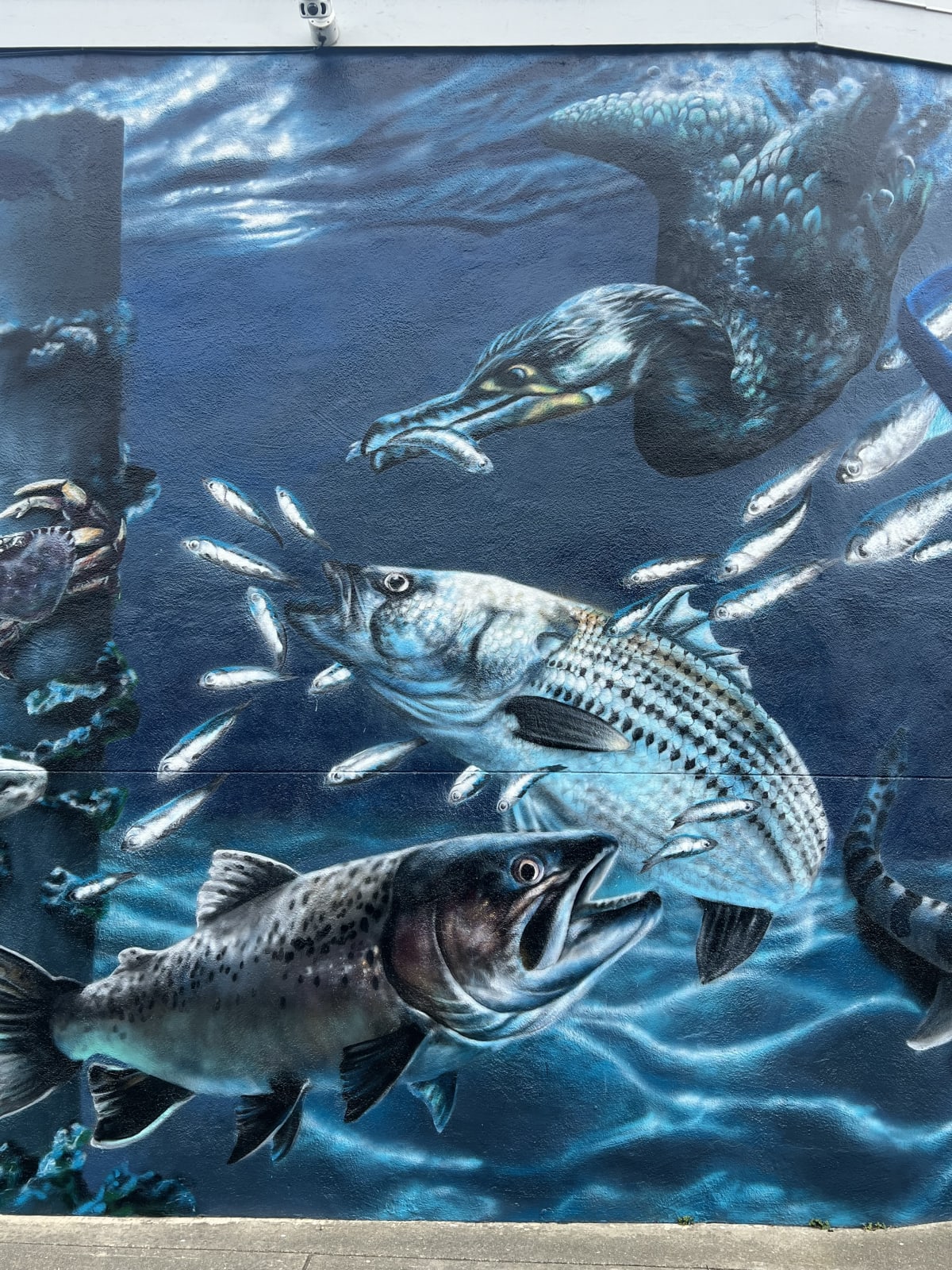Under the Pacifica Pier Mural detail
