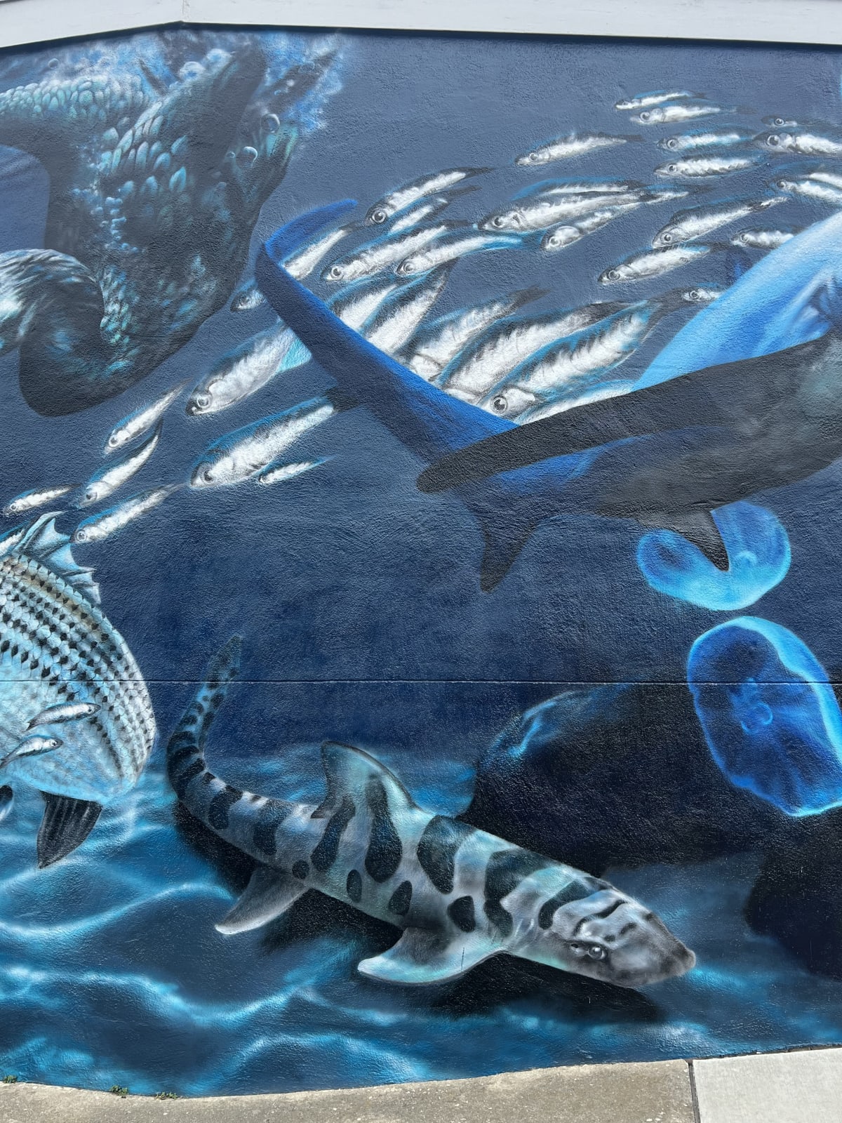Under the Pacifica Pier Mural detail