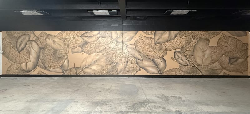 Santa Cruz Athletic Club Mural