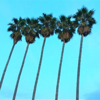 Art Crush: Arthemort Discovery of the Month #6