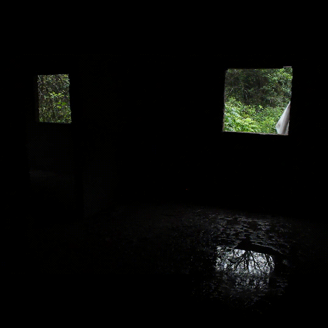 SIMULACRO (1).gif