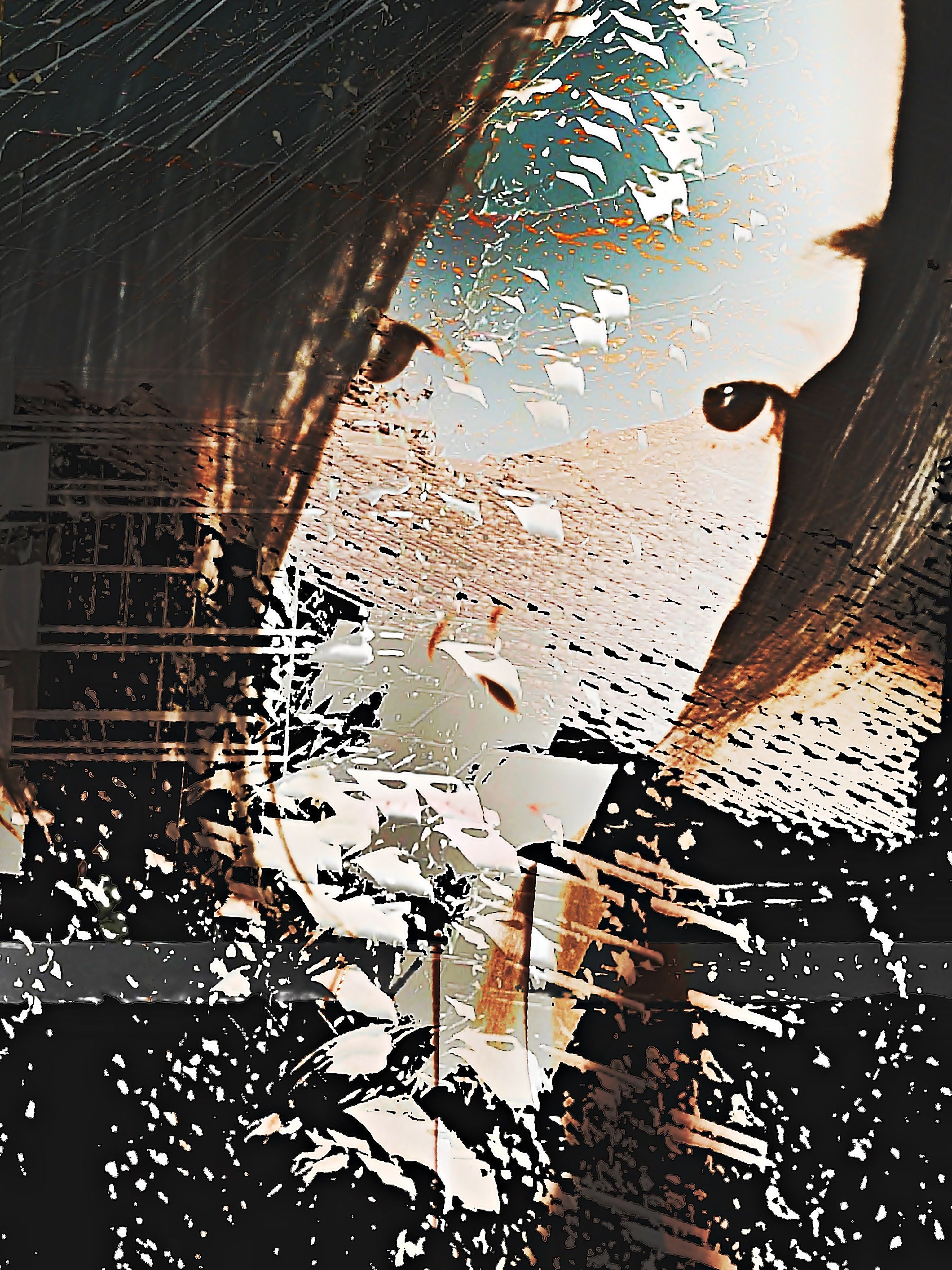 Paraxeno_Craving the feeling of reality in time.jpeg