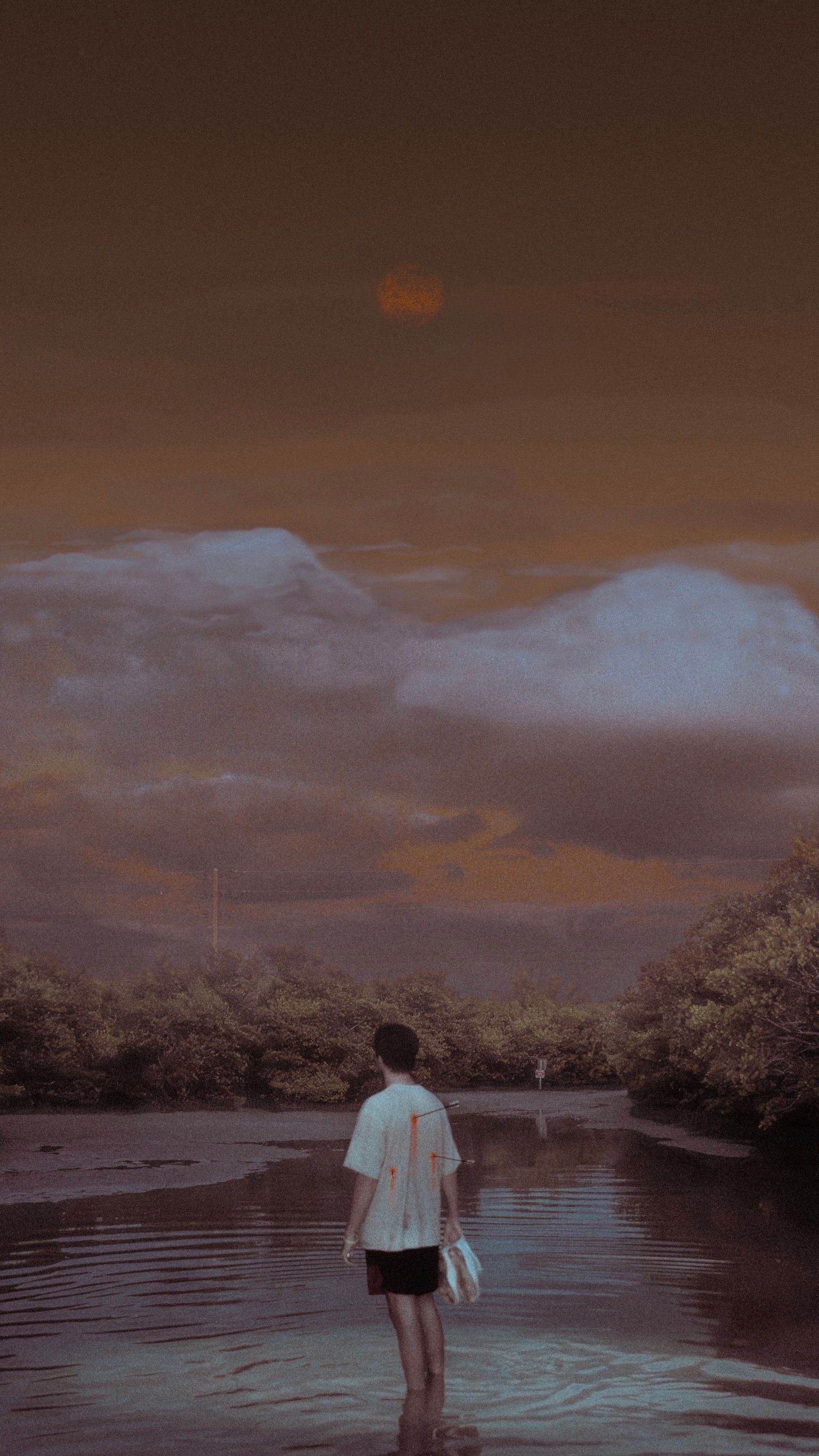 The Art of - CK.jpeg