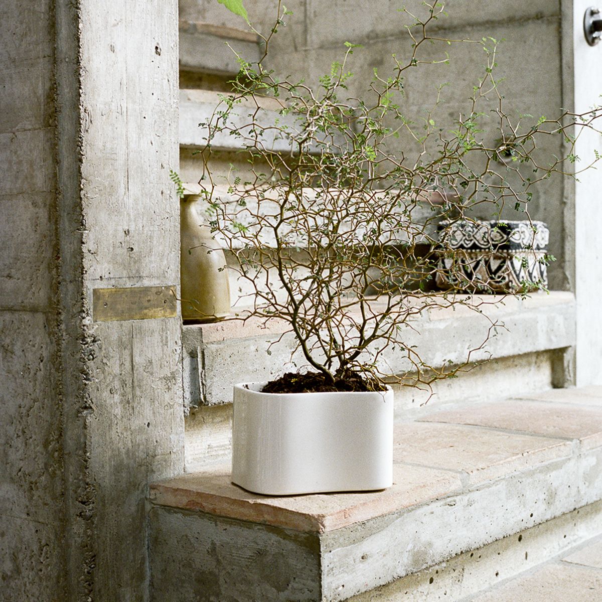 Riihitie Plant Pot A small white