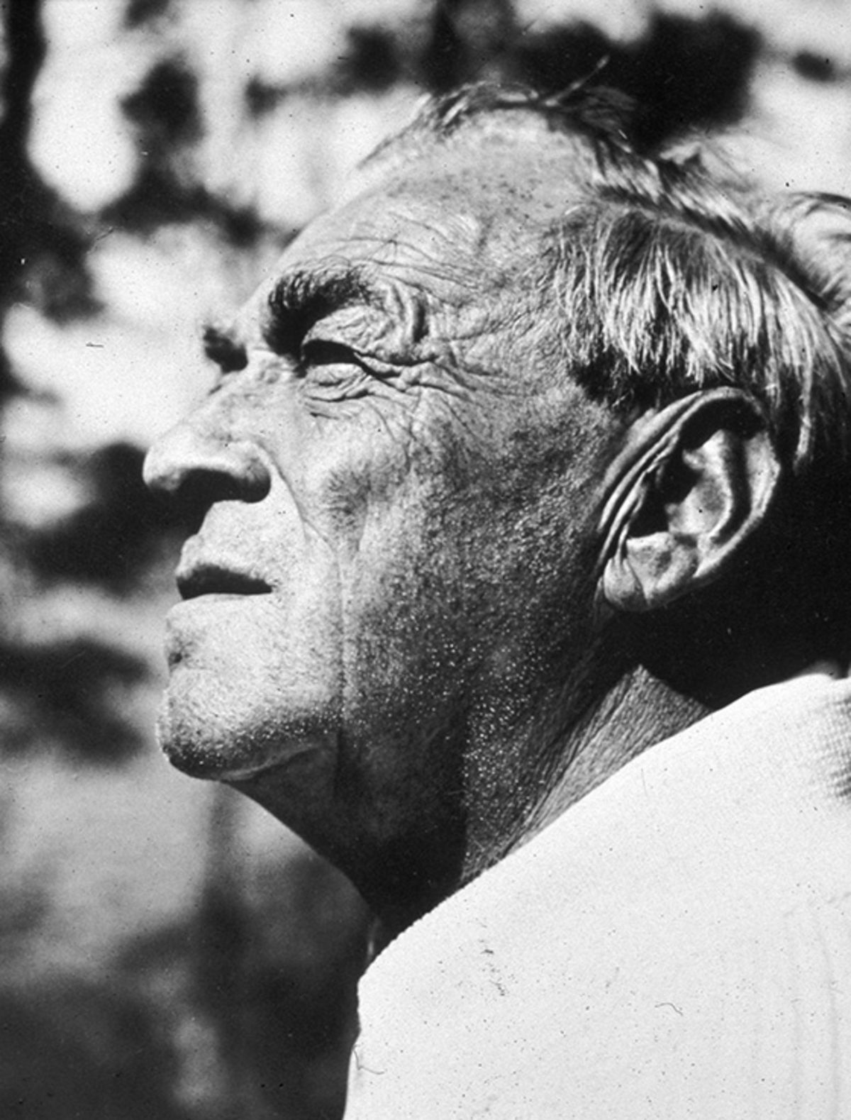 Alvar-Aalto-Portrait