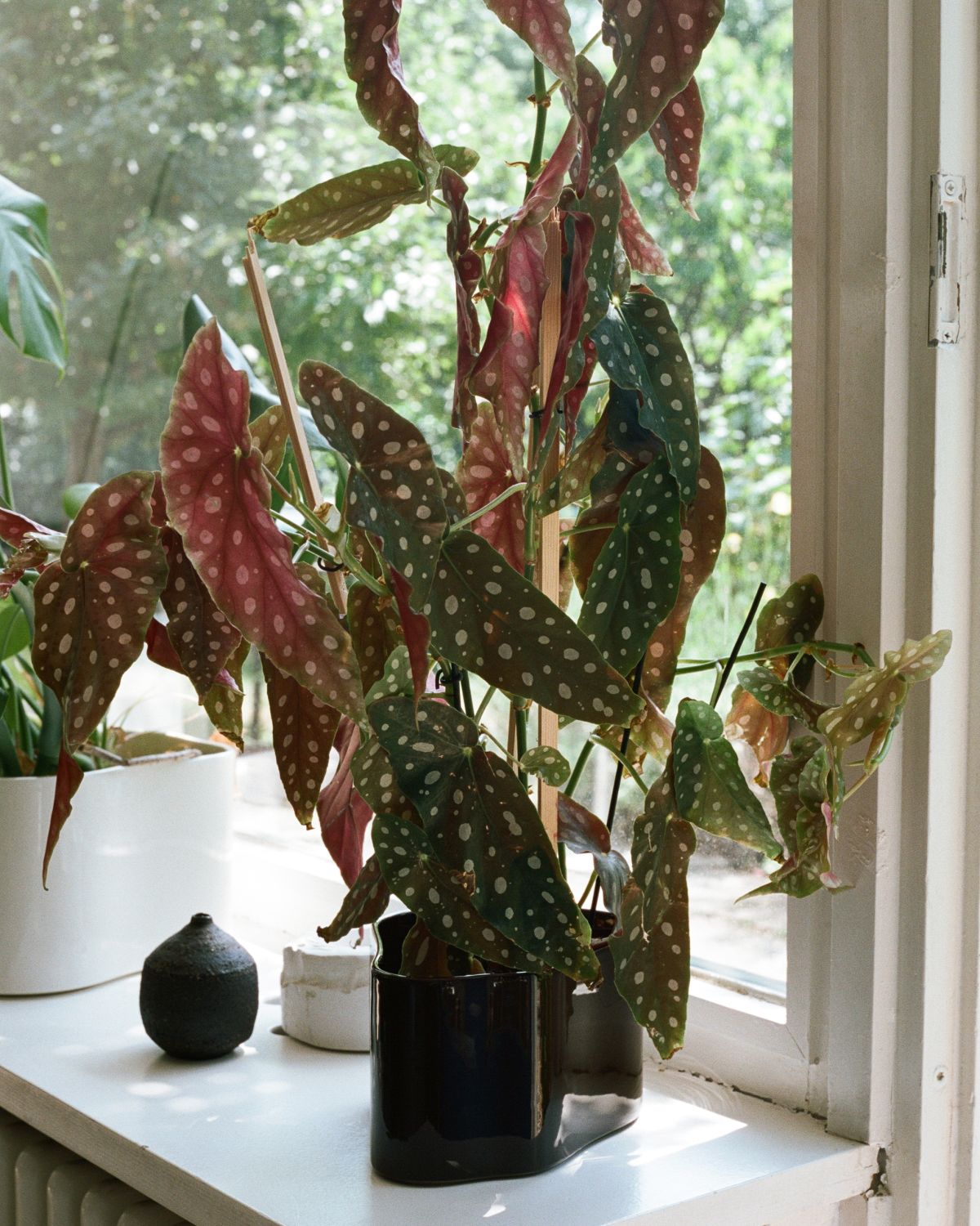 Riihitie_Plant_Pot_A_dark_brown_3