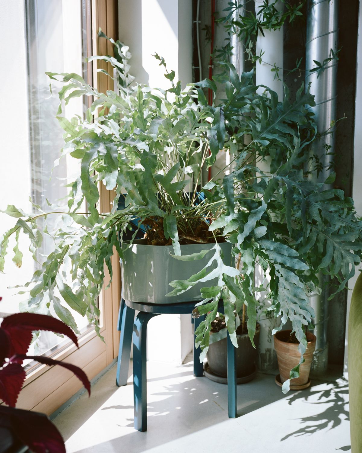 Riihitie_Plant_Pot_A_large_light_grey_Chair_66_blue_lacquered_1