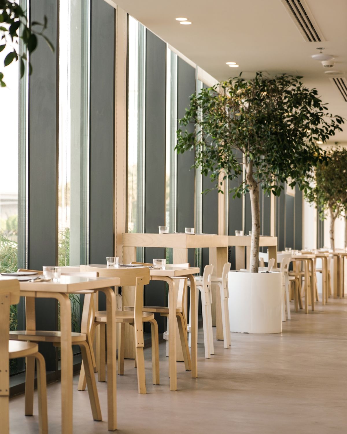 Teible - Restaurant Dubai, 2022