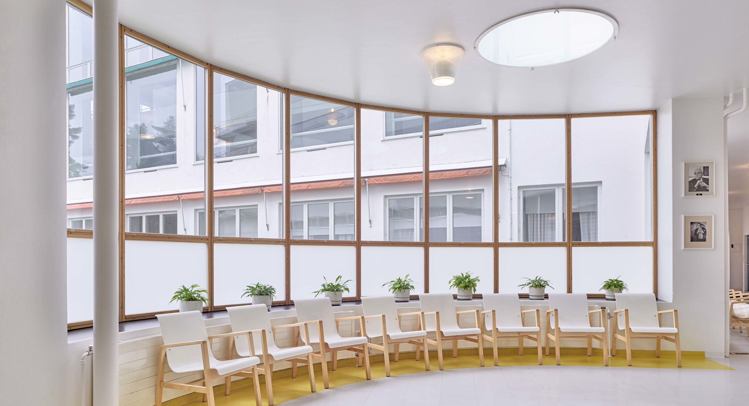 MOMA　サバティカル　アルニカ　美品 サバティカル アルニカ