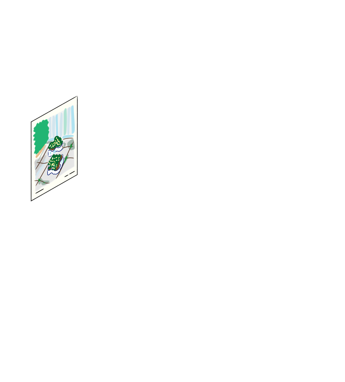 Animation c3 1 i