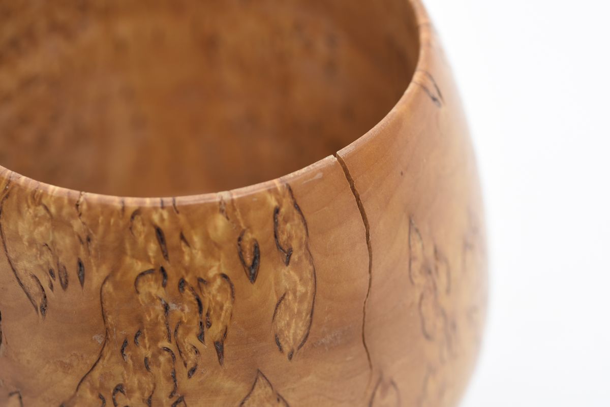 Anonymous Curly Birch Cups 03
