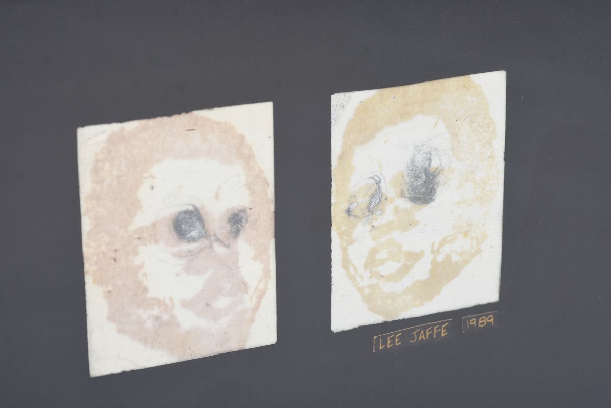 Jaffe Lee art print 01