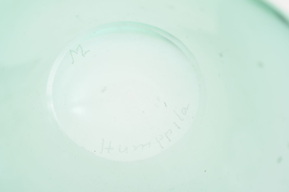Lybeck Marita glass dishes 07