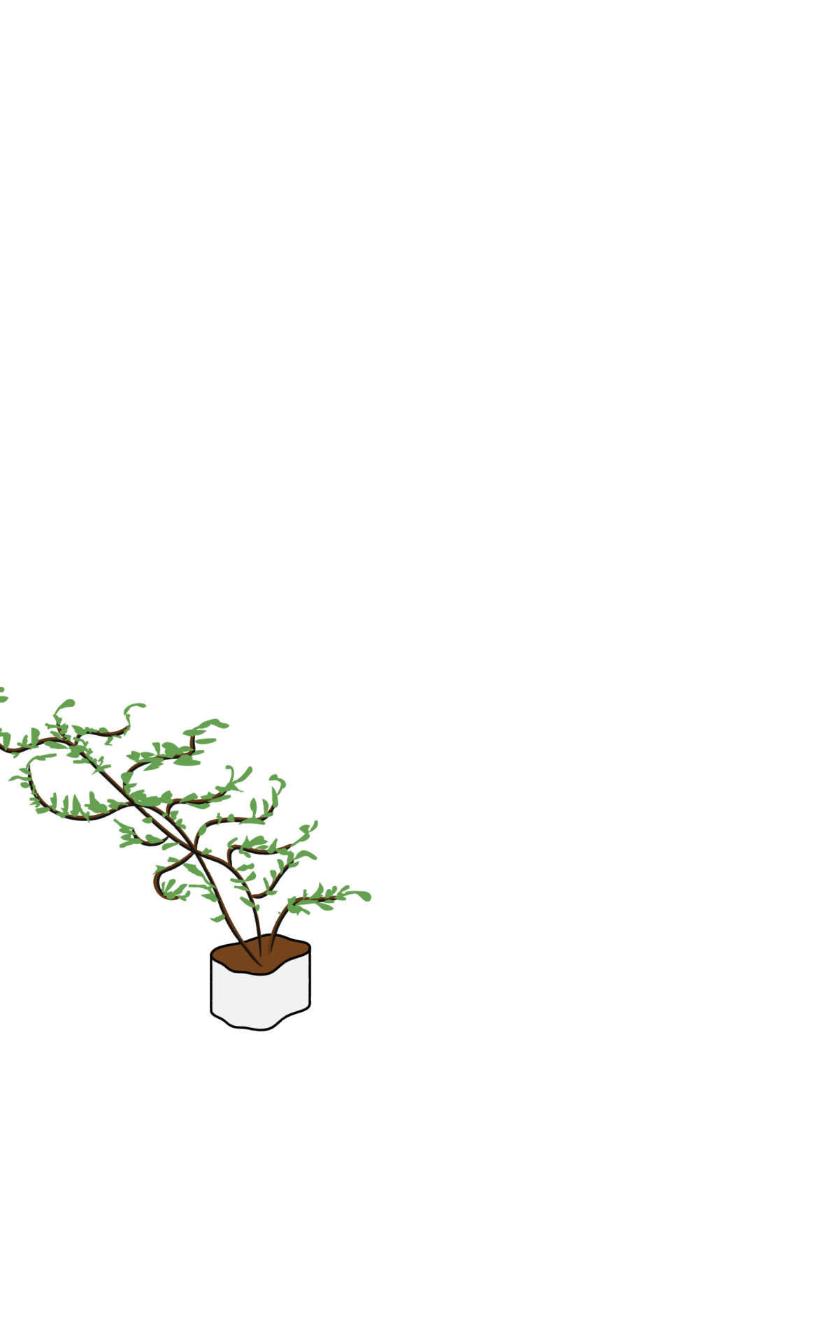 Animation a1 3 f