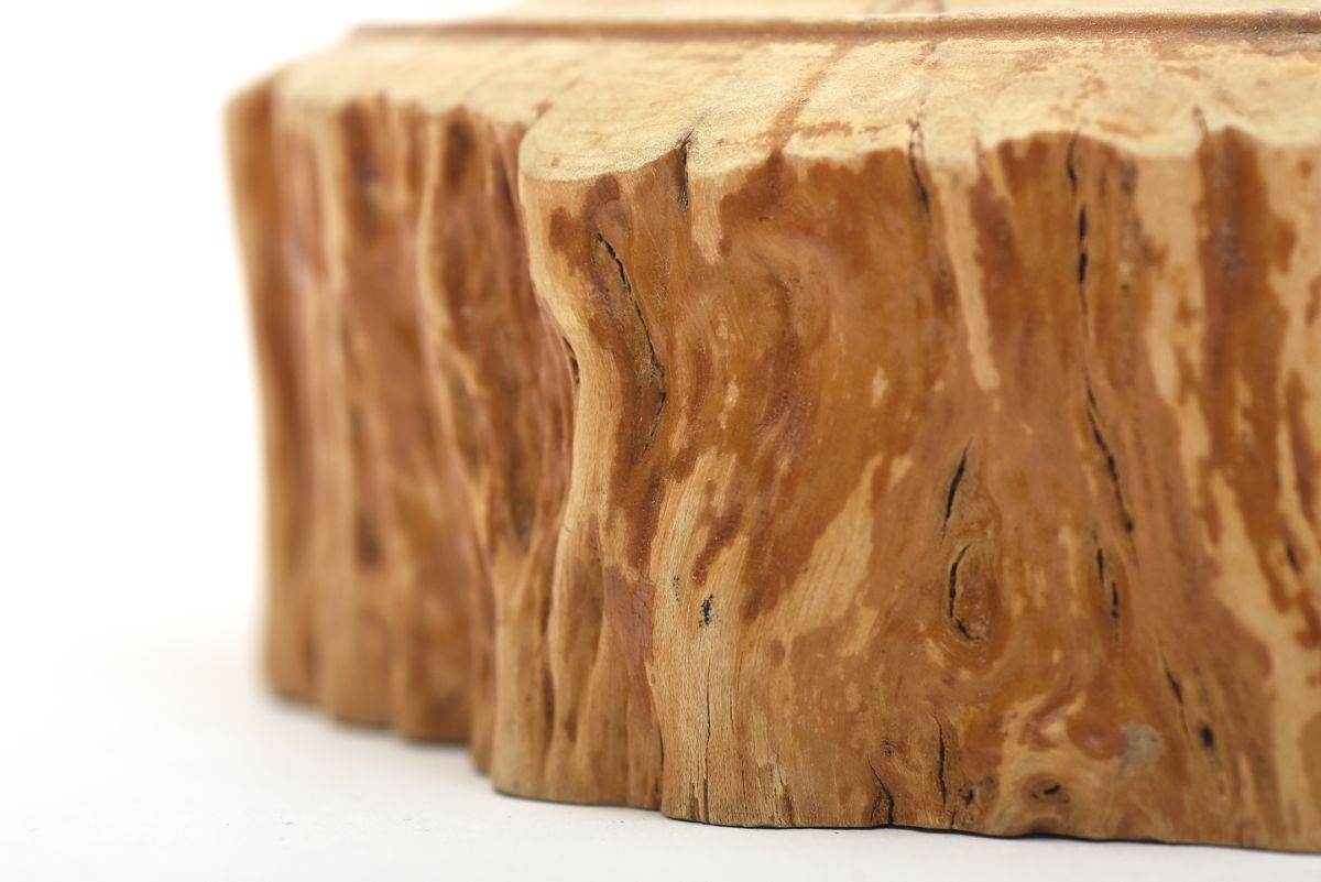 Anonymous Curly birch dish 05