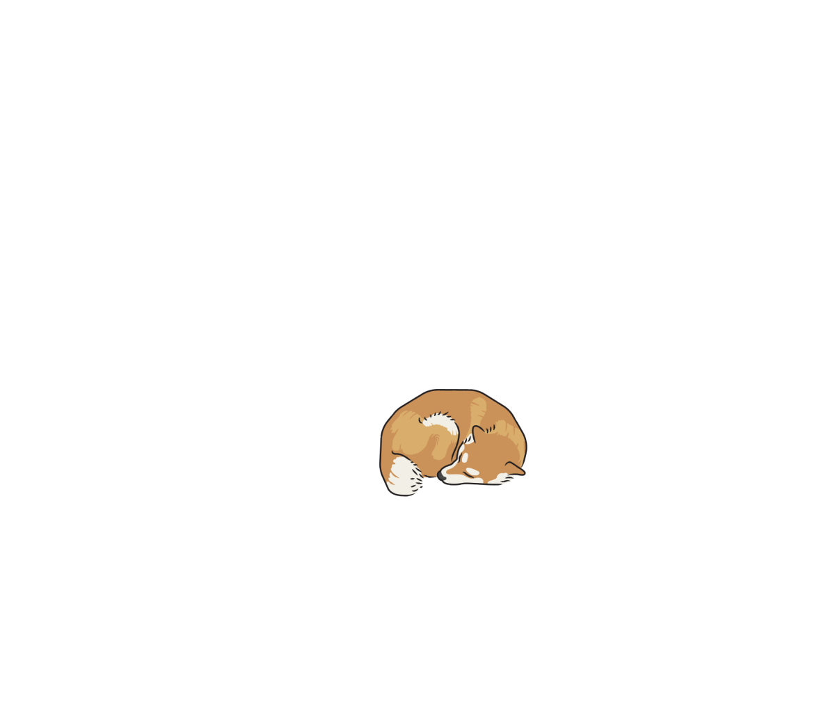 CHO Size 3 dog