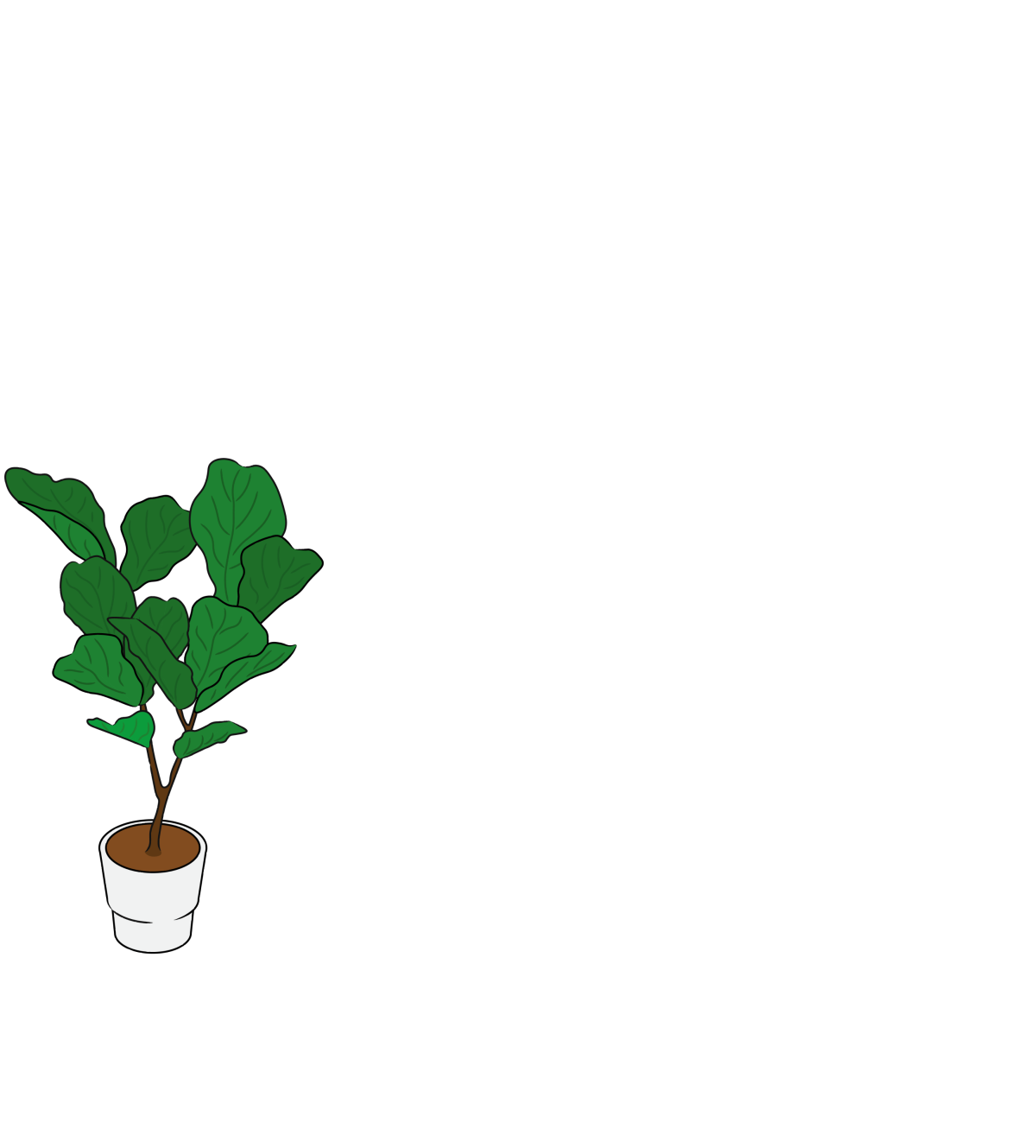 Animation c3 1 k