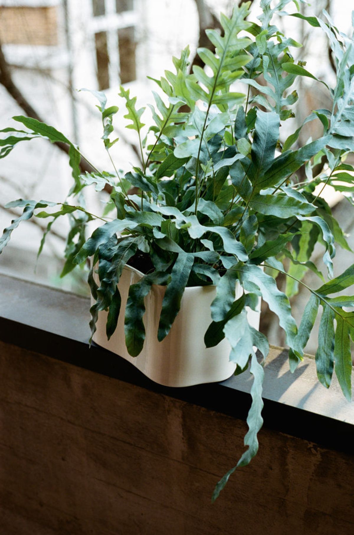 Backtowork_Riihitie-Plant-Pot-B-mediuml-white-gloss_preview